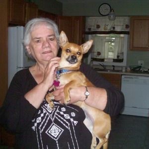 Meet your Posher, Janet